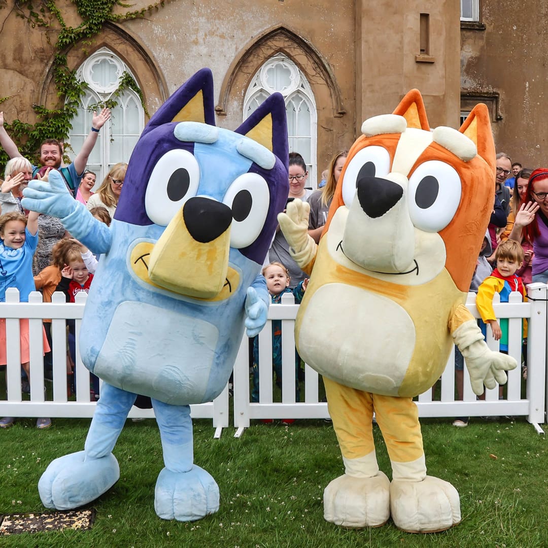 Who Is Bluey Licensed Characters Rainbow Productions