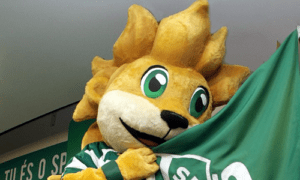 Jubas - Sporting Lisbon