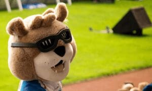 Wakefield Trinity Wildcats - Daddy Cool