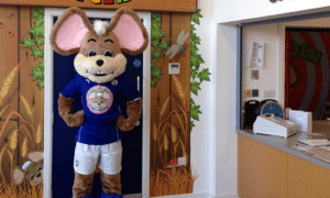 Chesterfield FC Mascot - Chester the Field Mouse