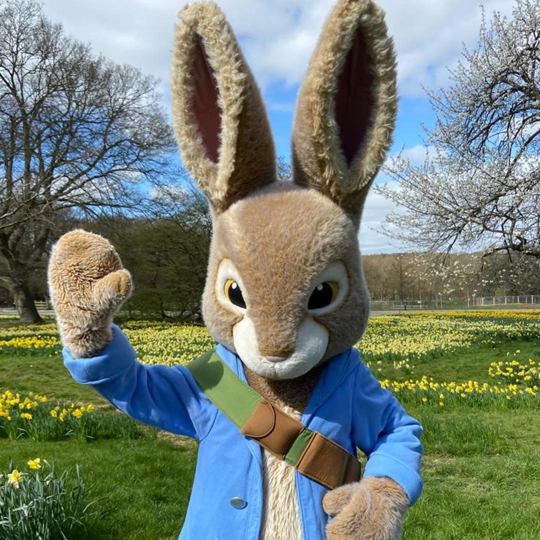 Who Is Peter Rabbit Character Costumes Rainbow Productions Who Is Peter Rabbit Character Costumes Rainbow Productions