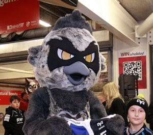 Neath Swansea Ospreys - Ozzie Osprey