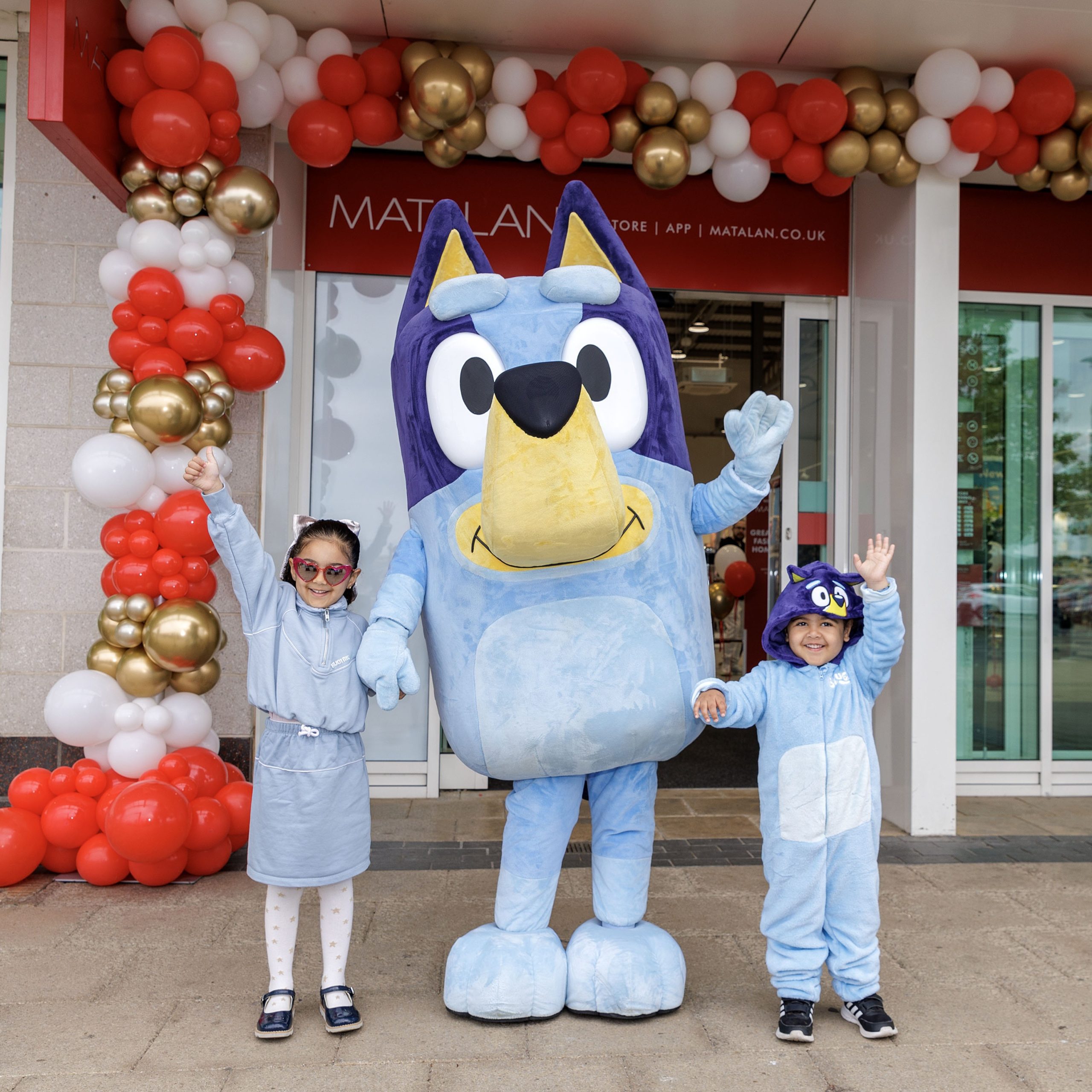 Bluey & Bingo