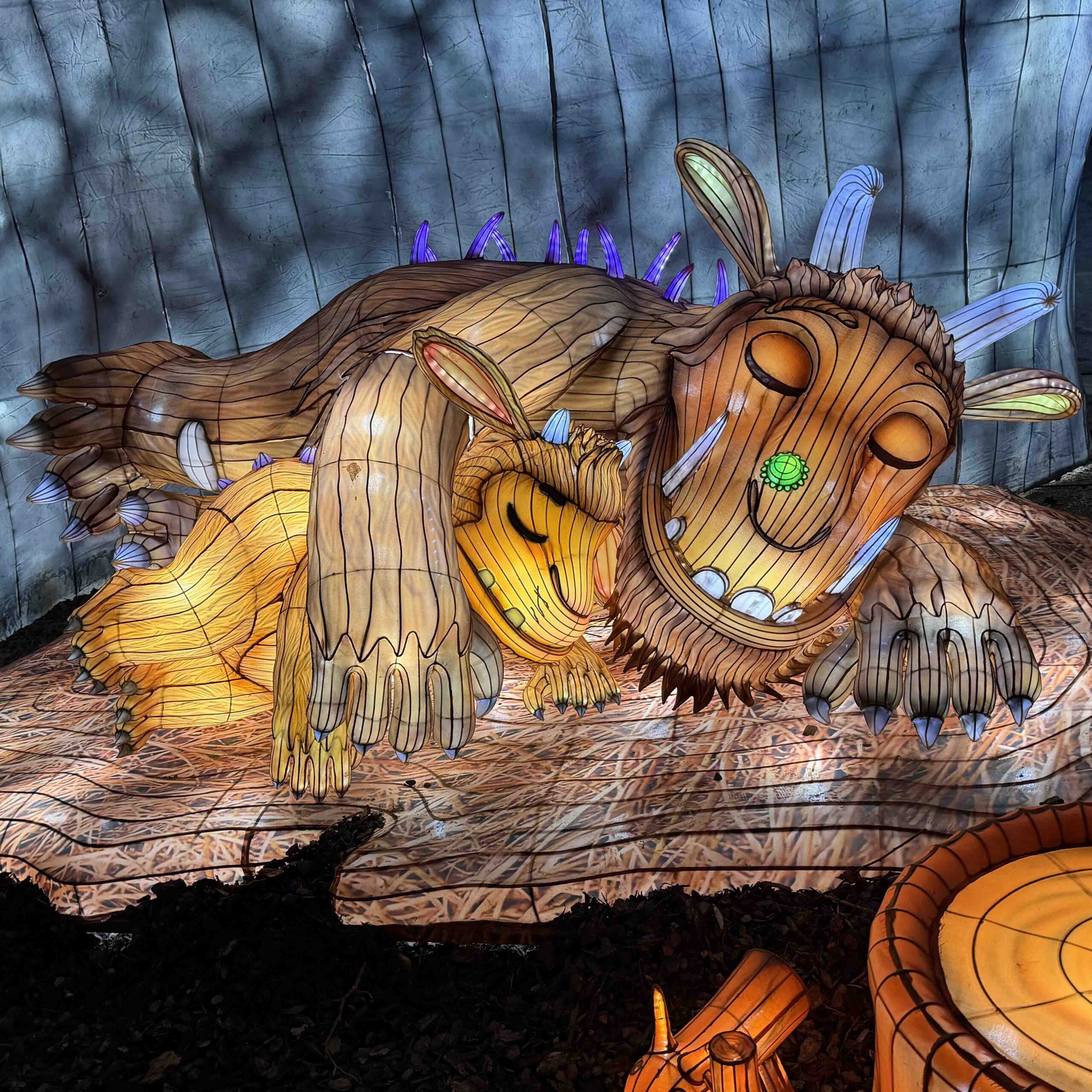 Gruffalo light show Tycross Zoo