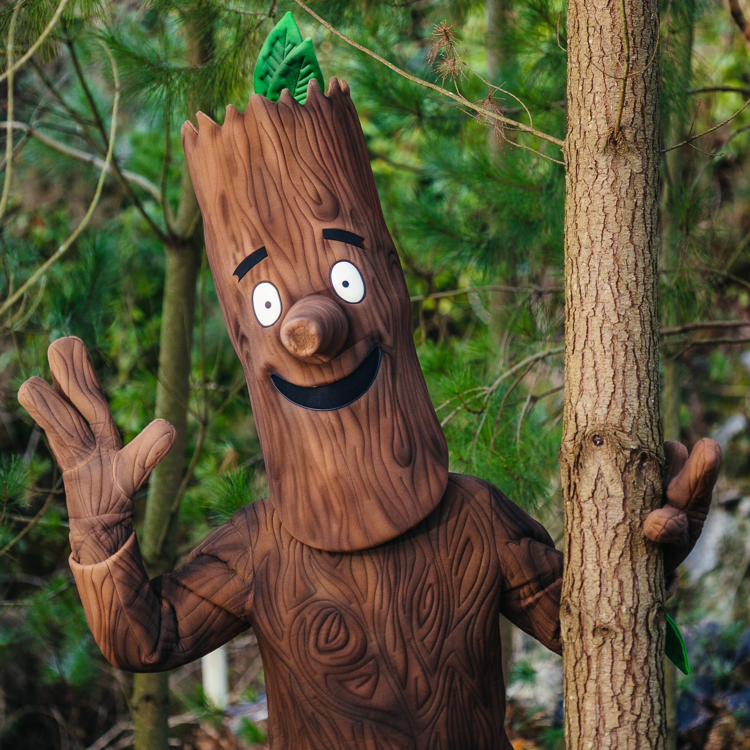 Stickman at the Eden Project - Jan 2016