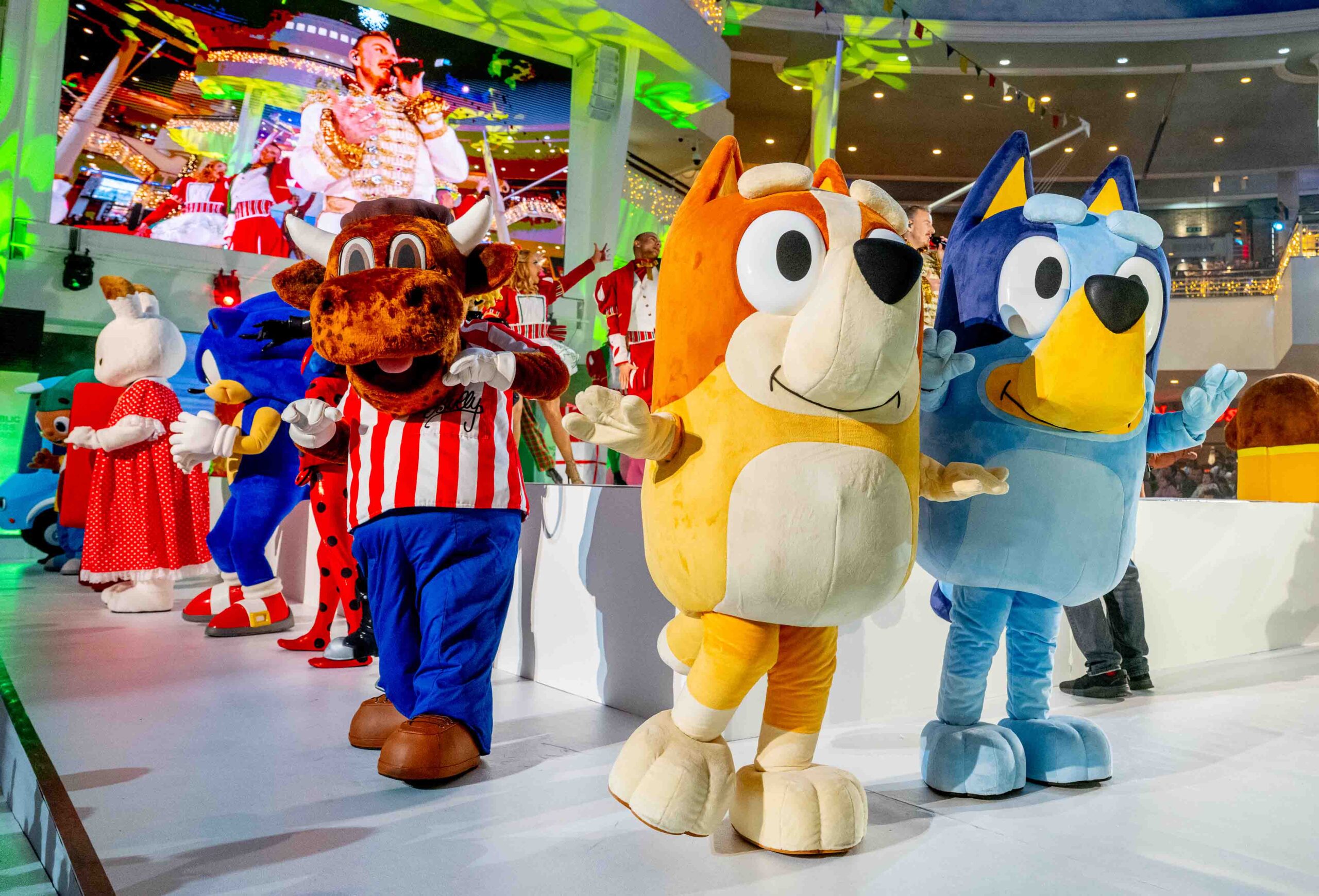 Bluey & Bingo
