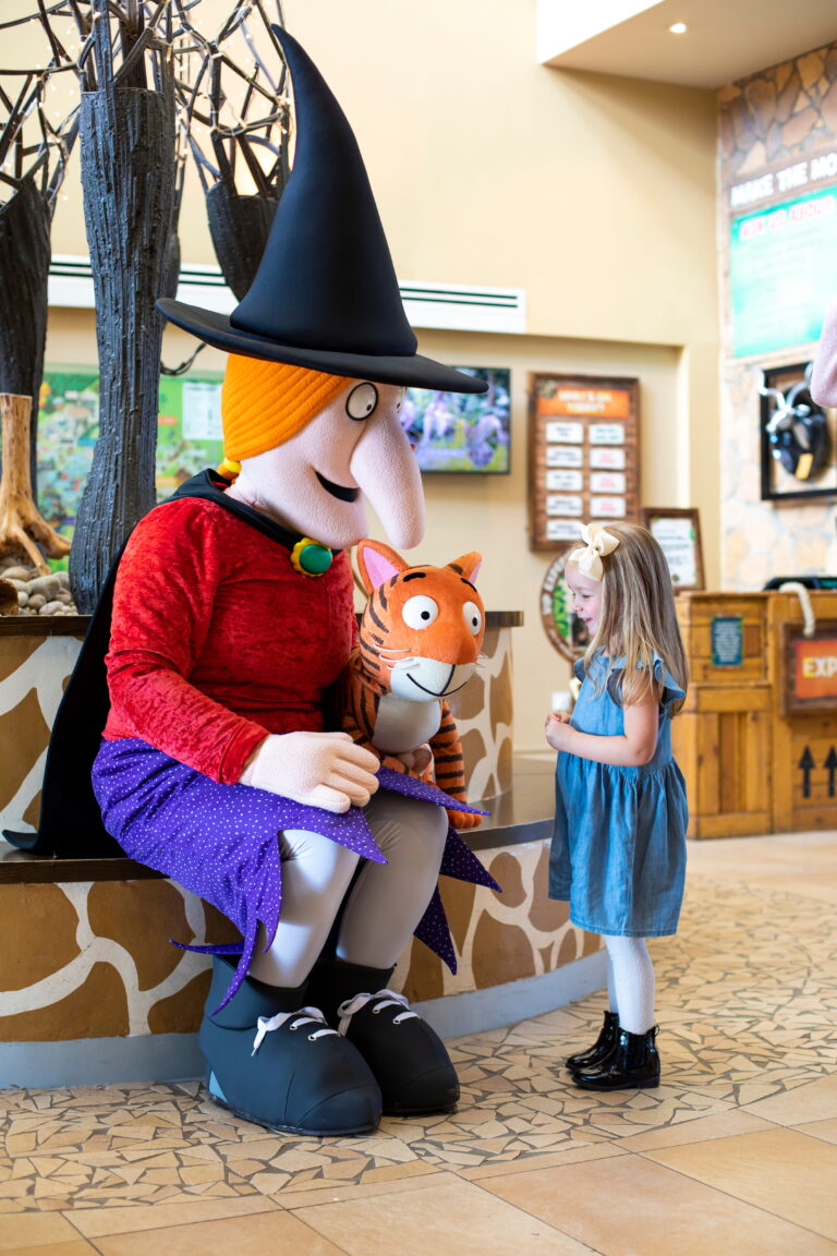 Room on the Broom Meet and Greet